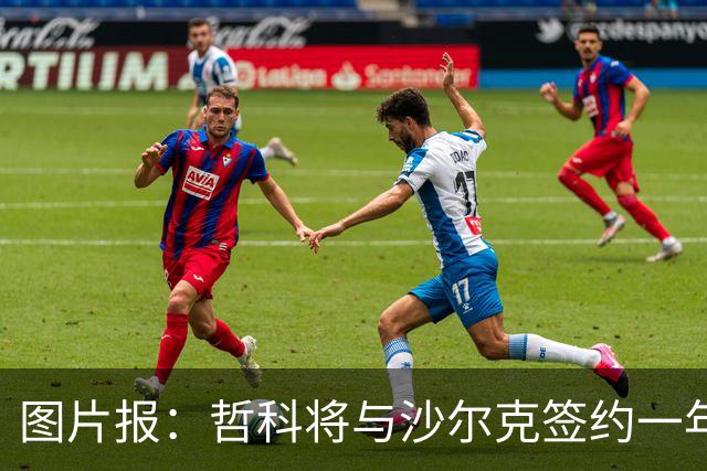 图片报：哲科将与沙尔克签约一年，年薪130万欧元